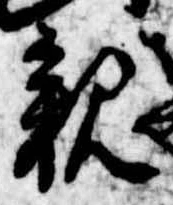 位置定マレル親