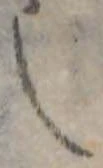 位置 確認된 也