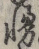 慢 위치 확인됨