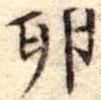 卵 위치 확인됨