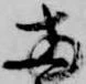 已定位両