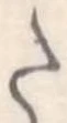 𛁠 위치 확인됨