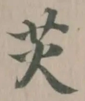 苂の位置