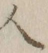 字人