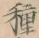 글자 種