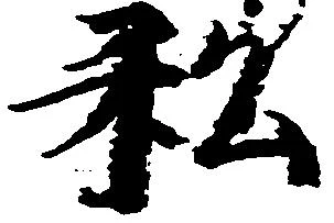 已定位私