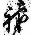 神 위치 확인됨