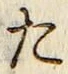 字た