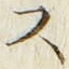𡨸ス