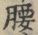 Character 腰