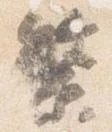 繁 위치 확인됨