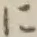 文字に