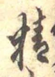 精 위치 확인됨
