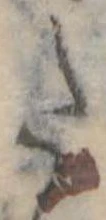 Đã định vị 𛁠