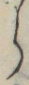 𛃰 위치 확인됨