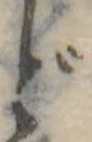 ど 위치 확인됨