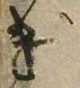 位置 確認된 げ