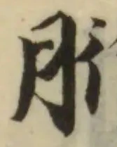 胻の位置