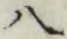 글자 八