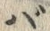 文字 バ