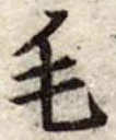 毛 위치 확인됨