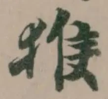 猴の位置