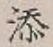 文字 添