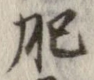 Đã định vị 肥