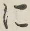 글자 に