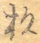 位置定マレル杉