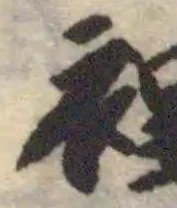 裎の位置