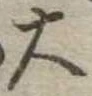 位置定マレル大