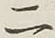 文字 二