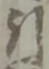 글자 引