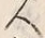 字人