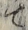 文字 て