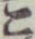 글자 こ