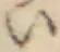 글자 い