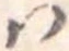 𛂞の位置