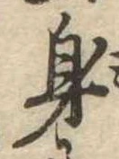 身の位置