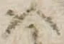 𛂞 위치 확인됨