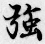 強 위치 확인됨