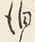 文字泊