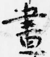 已定位昼
