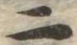 二 위치 확인됨