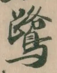 鷺の位置