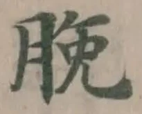 脕 위치 확인됨