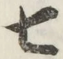 字七
