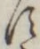 「す」字