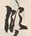 𡨸領